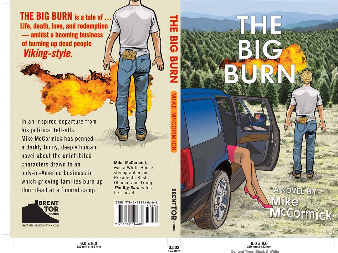 Big Burn Book Cover